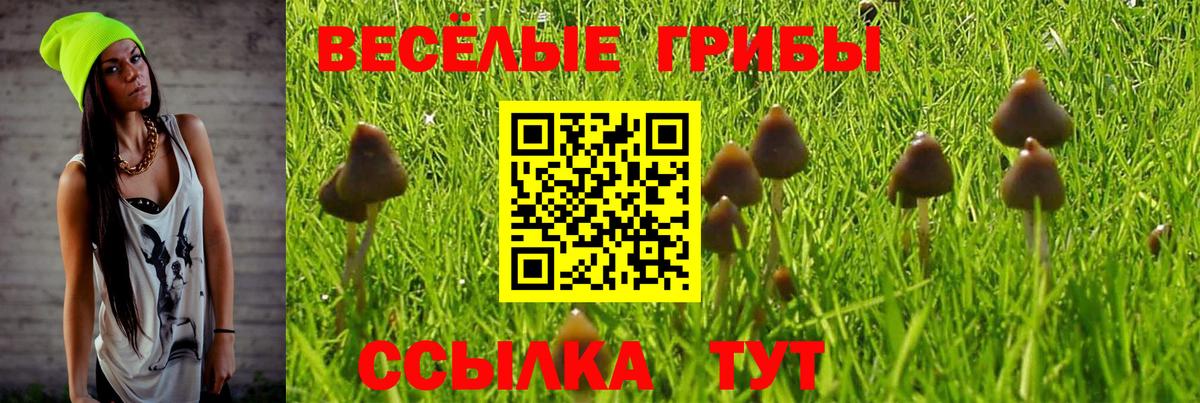 Псилоцибиновые грибы Magic Shrooms  Галлюциногенные грибы мухоморы  Югорск  Вход с VPN 