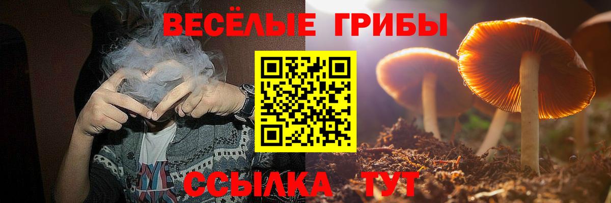 Галлюциногенные грибы GOLDEN TEACHER Югорск